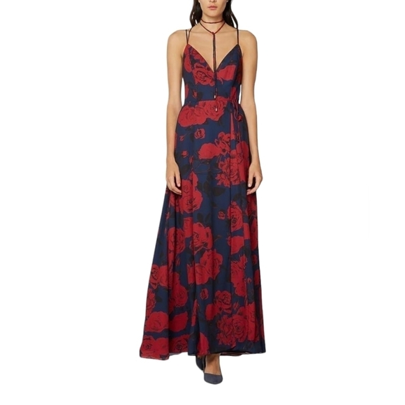 FAME AND PARTNERS Rose Print Maxi Dress mcfp2011p - Picture 1 of 9